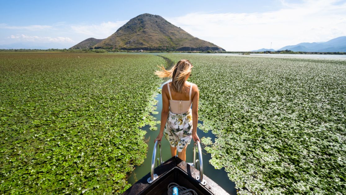 A Person Standing On A Boat In A Field Of Plants